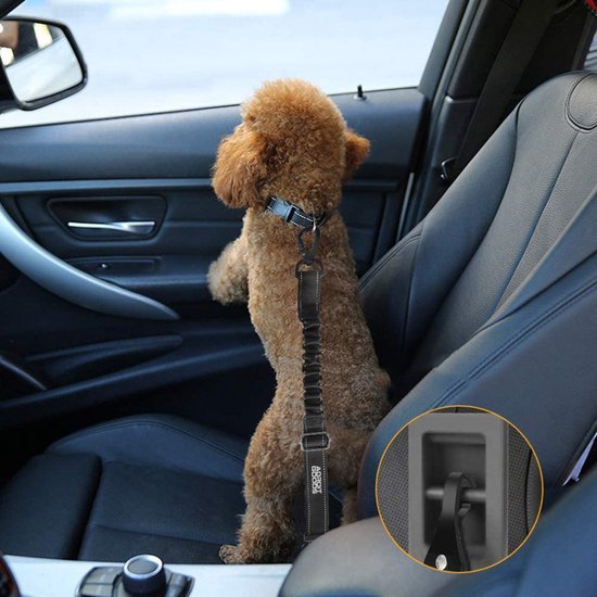 Bruine hond zittend op autostoel met veiligheidsharnas bevestigd aan autodeurhaak