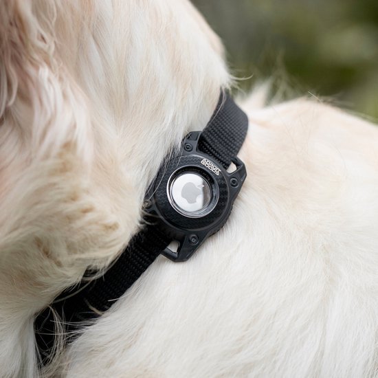 Zwarte halsband met een klein rond apparaat bevestigd aan de witte vacht van een hond