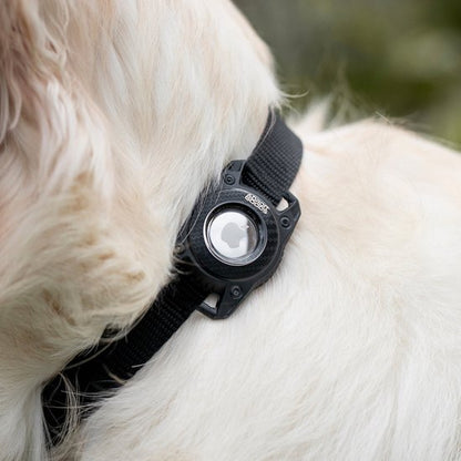 Zwarte halsband met een klein rond apparaat bevestigd aan de witte vacht van een hond